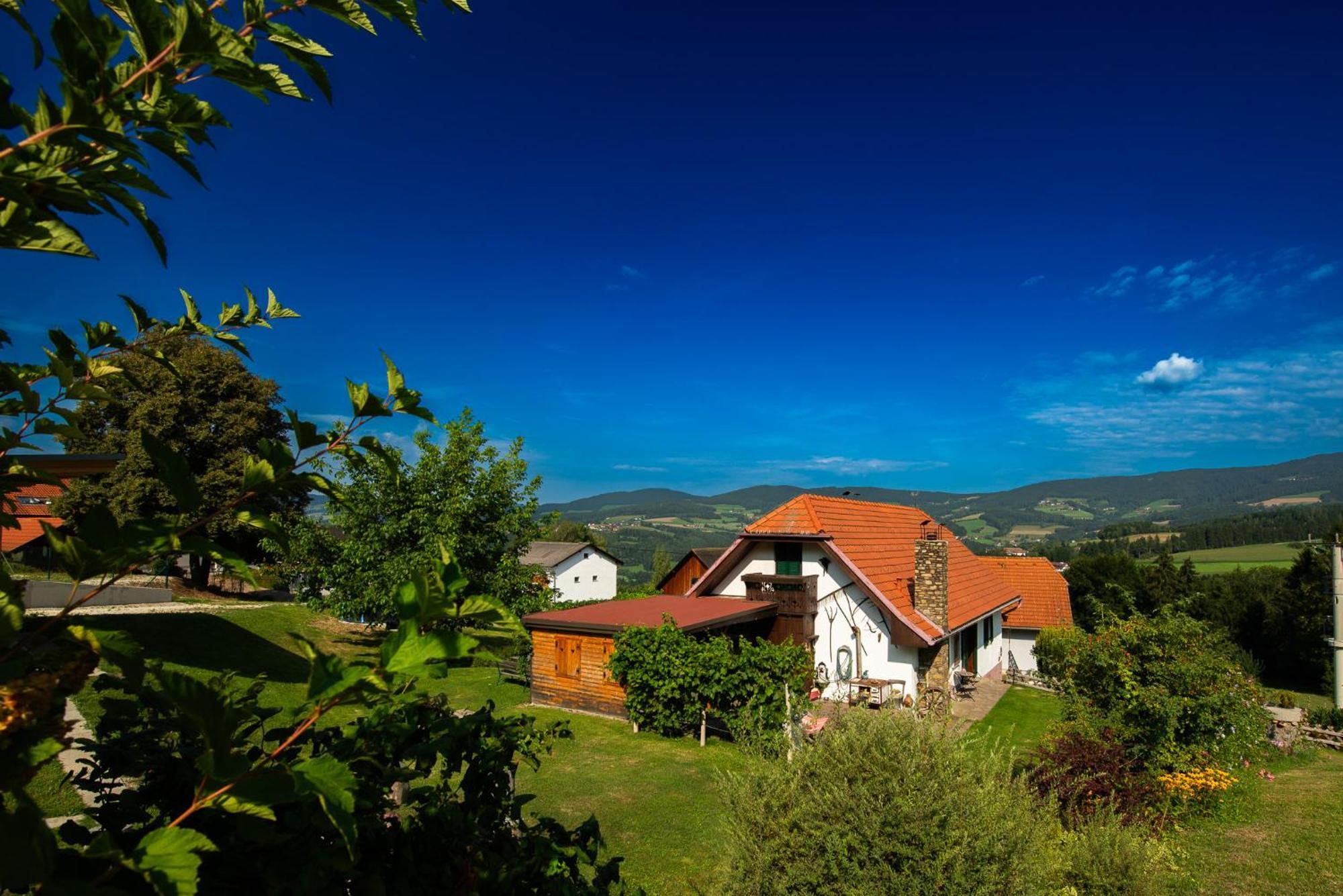 Ferienhaus Mooshoef Pöllauberg Zewnętrze zdjęcie